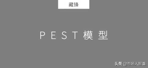 市场策划人的营销模型